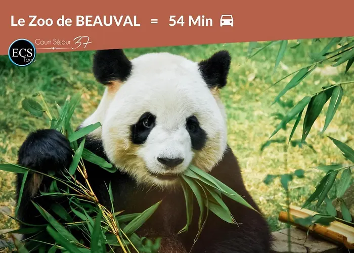 Apartamento 1# Central'tours Terracotta- Hypercentre *